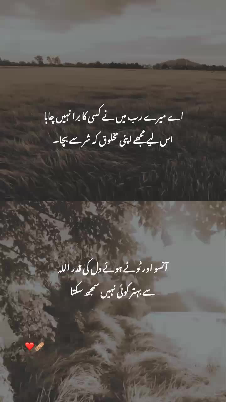 @angel_pari420