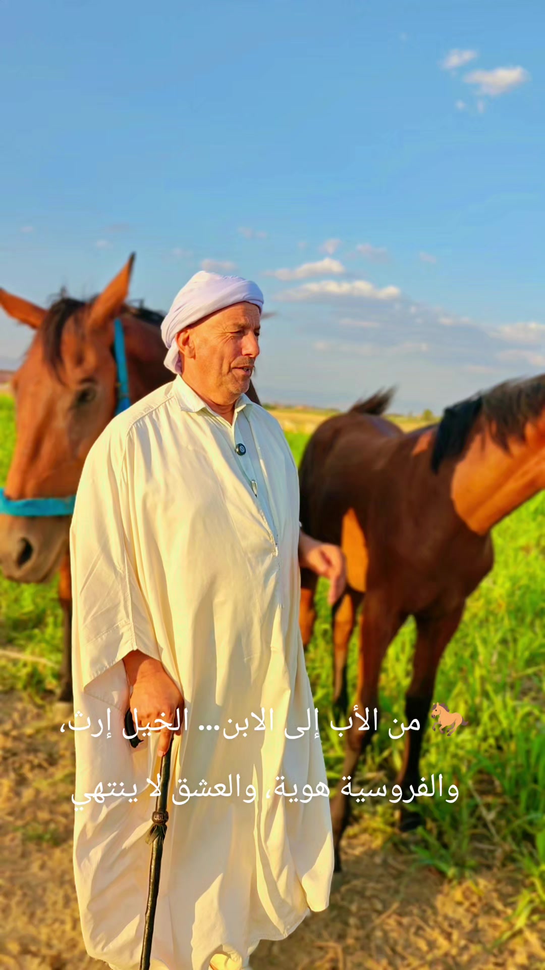 @الفلاحة في مسيلة