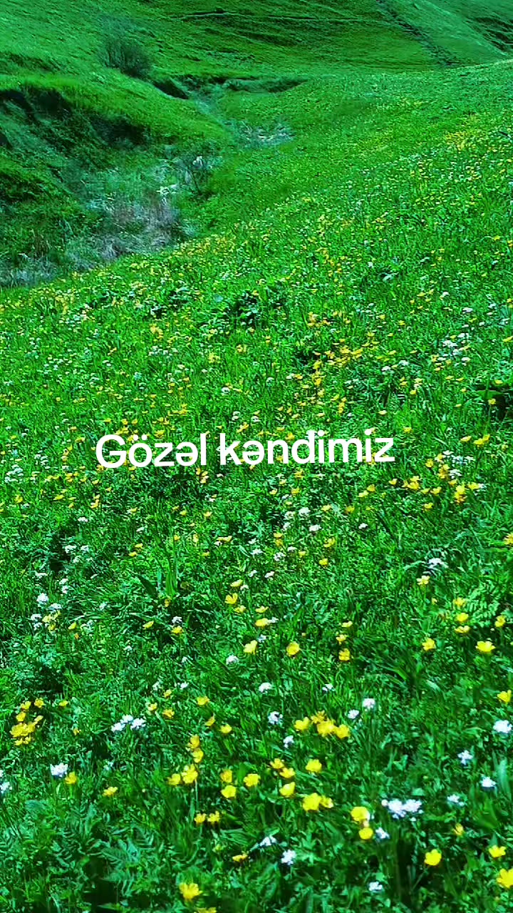 @Huseyin _021
