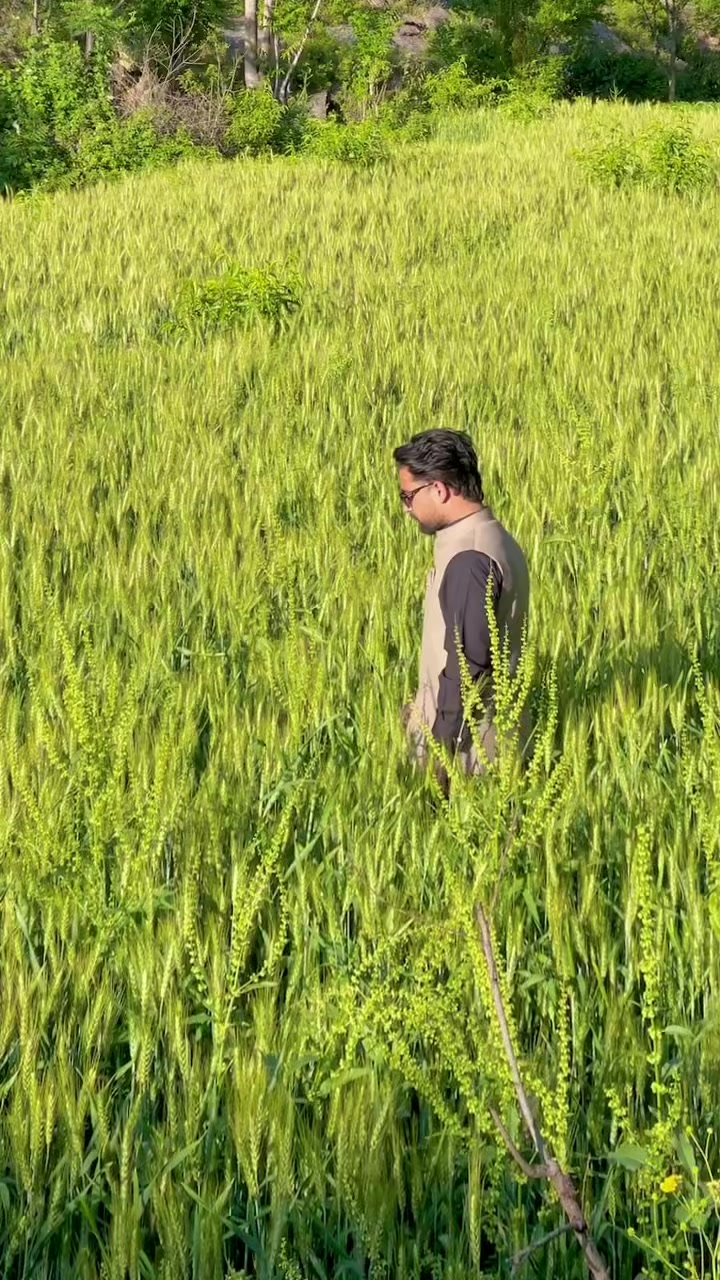 @𝘼𝙧𝙨𝙖𝙡 🐺