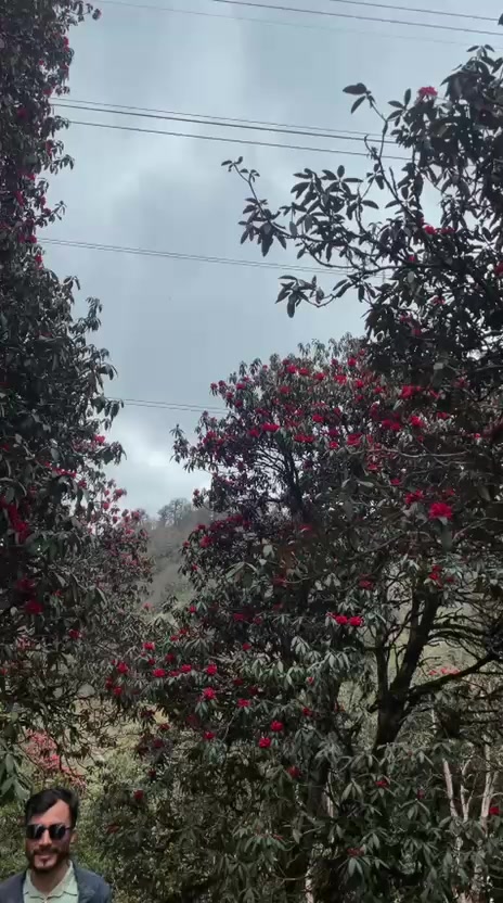 @Dharmendra karki