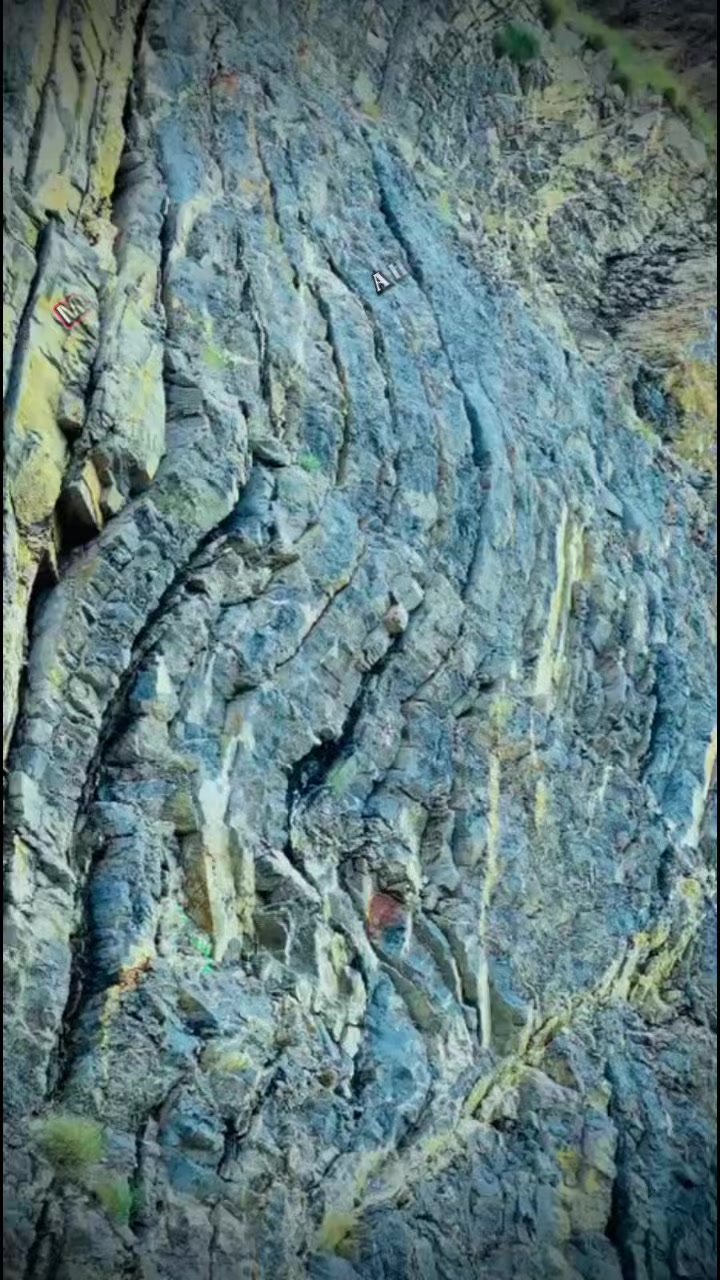 @A H Shera Sherani