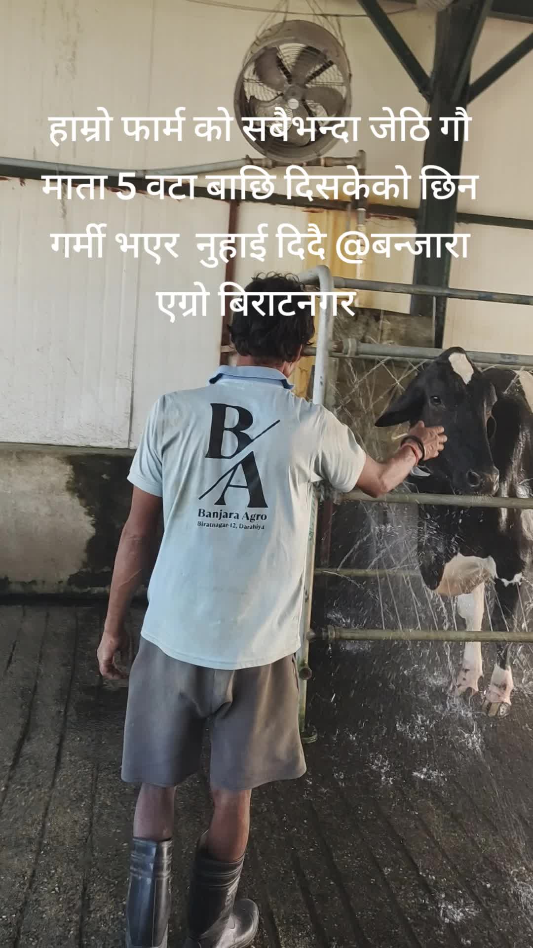 @Banjara Agro