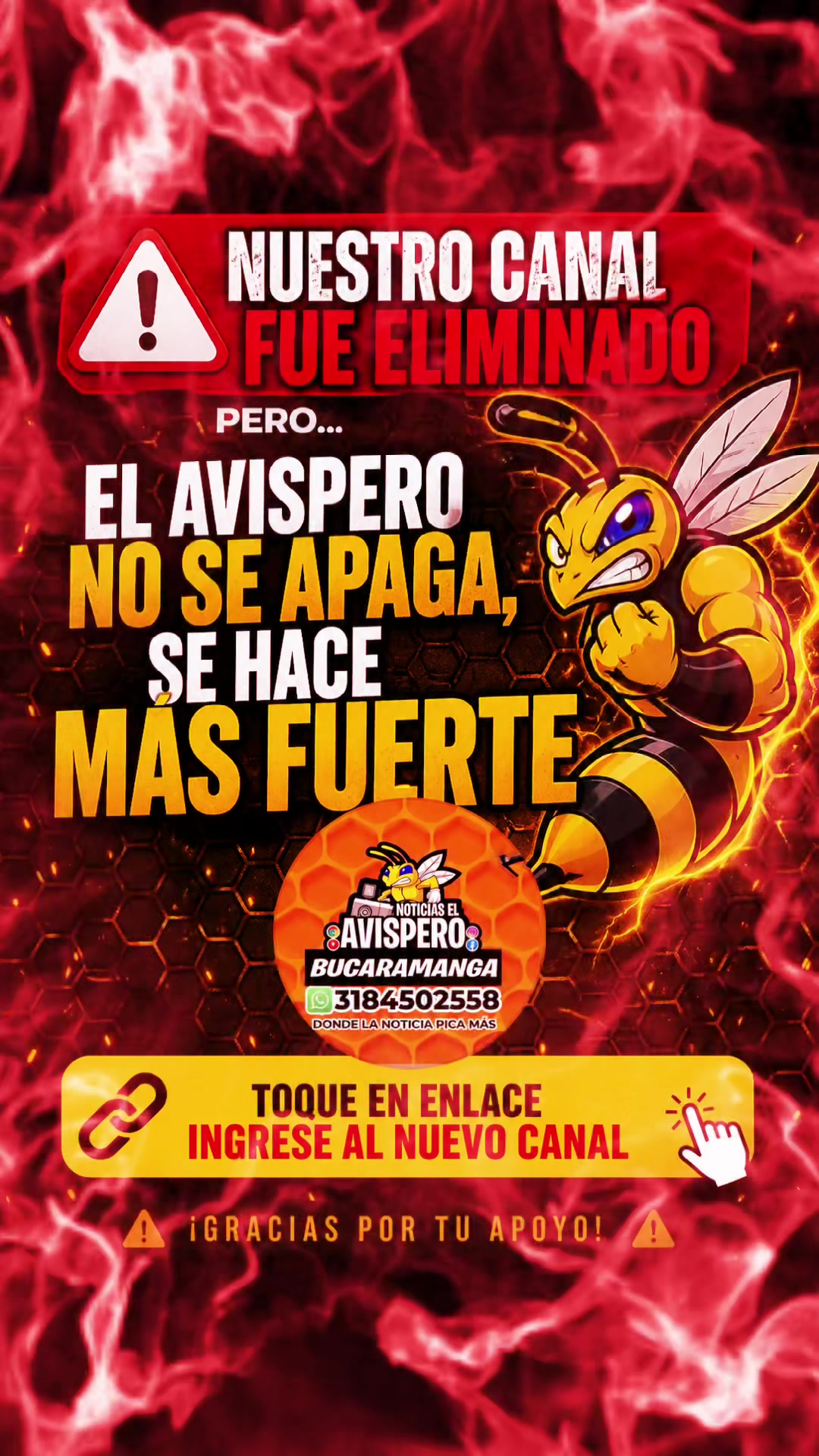 @avisperobucaramanga
