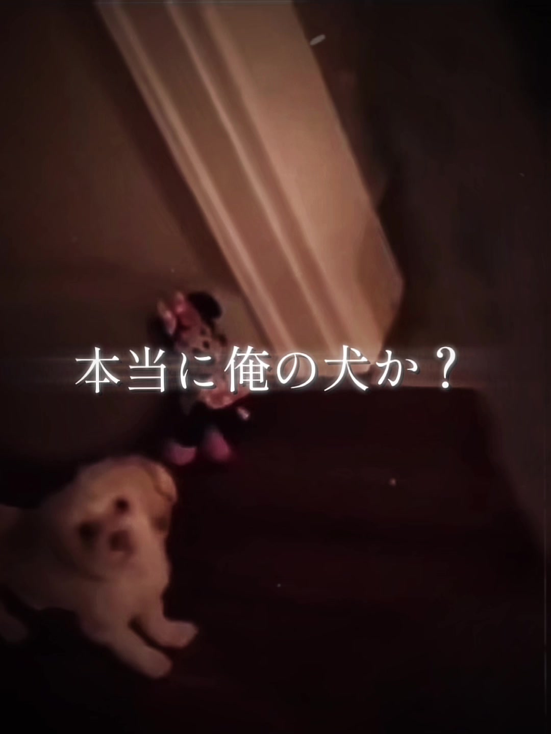 @TikTok界の有名人てきな