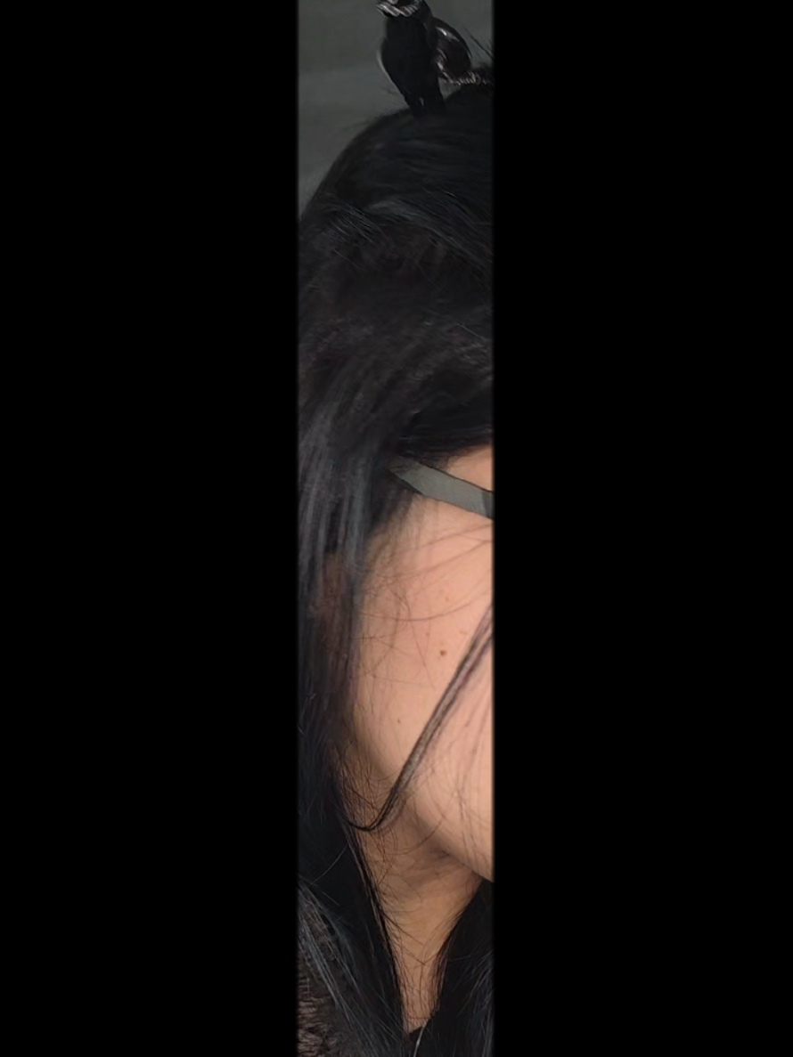 @Miniun 👽