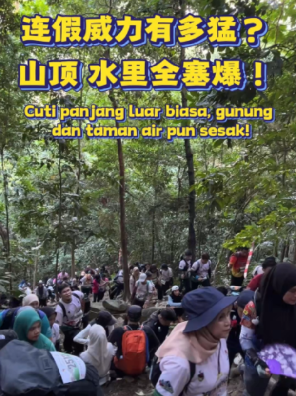 @中国报