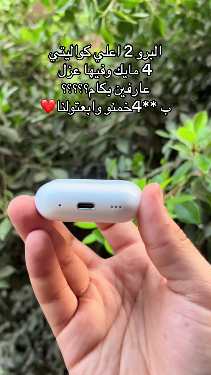 @Panda_store202