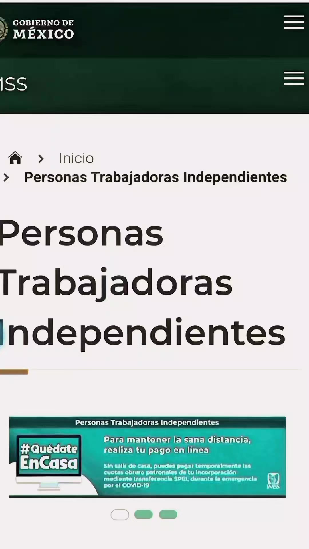 @CESAR SALDIVAR ASESOR