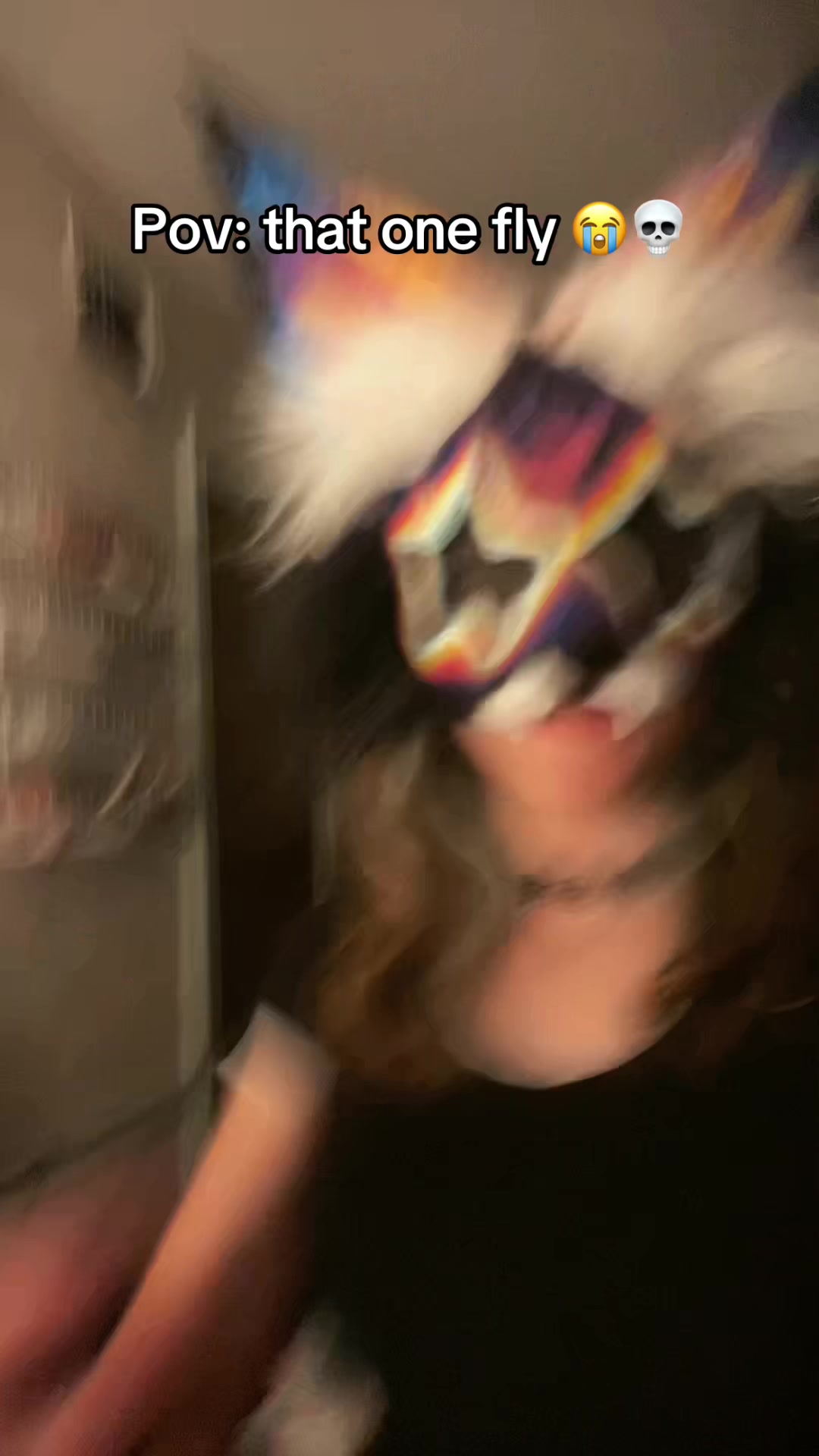 @.&bull;&deg;✝️{ℙ𝕖𝕜𝕜𝕒ℙ𝕒𝕨𝕫}🐾&deg;&bull;.