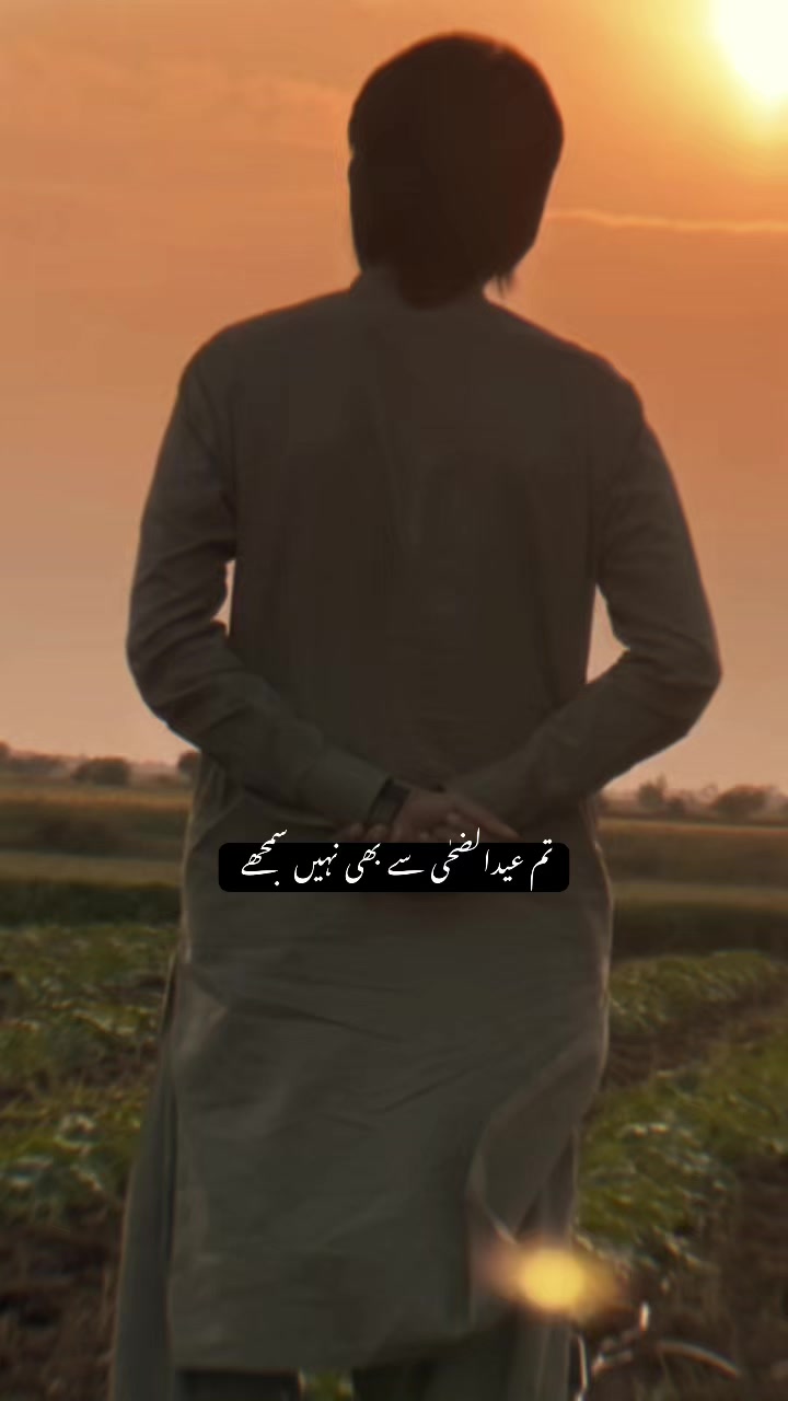 @Mehtab Tabi ...❤️
