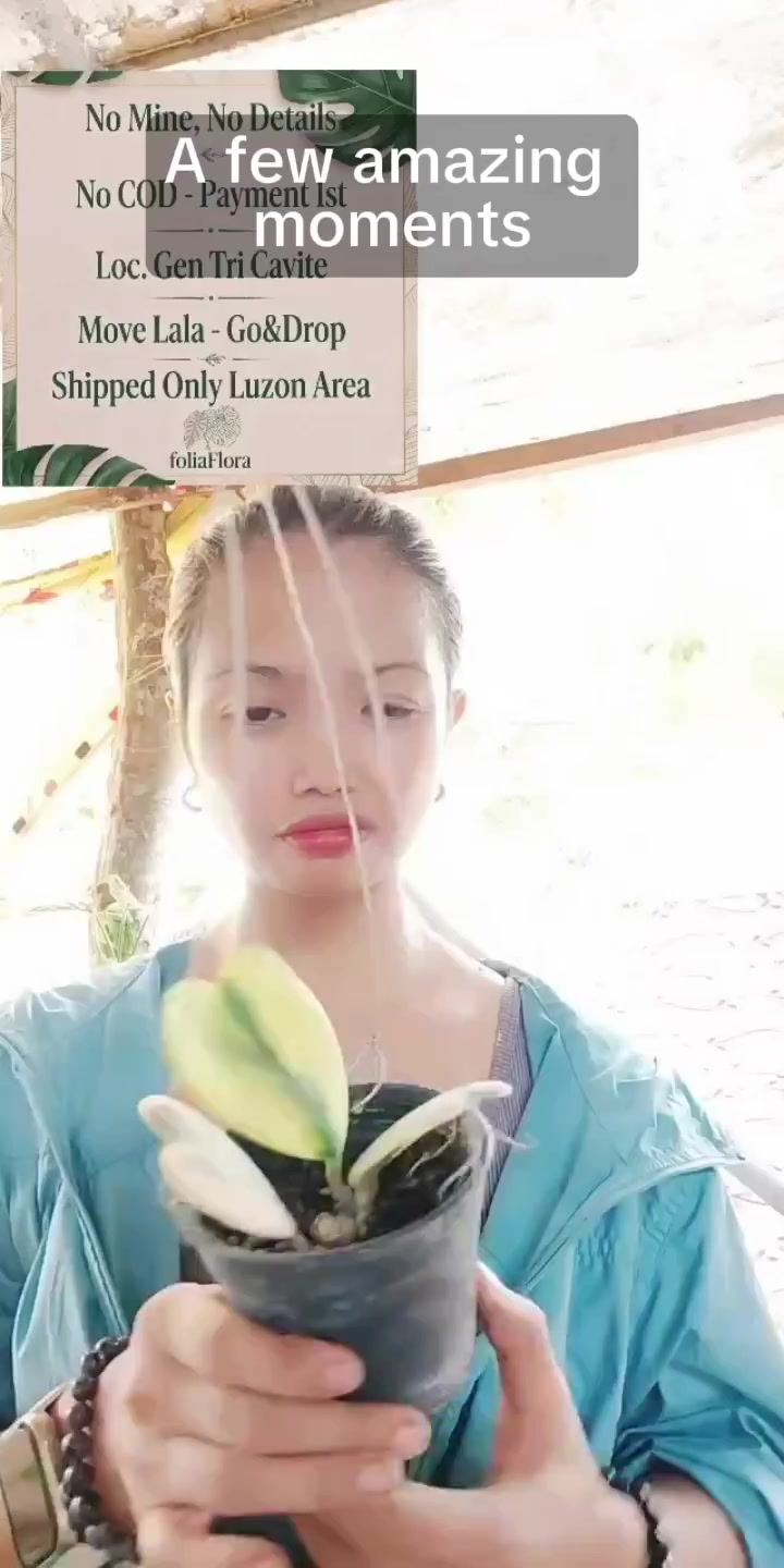 @mhie_nie gorgeous plantita