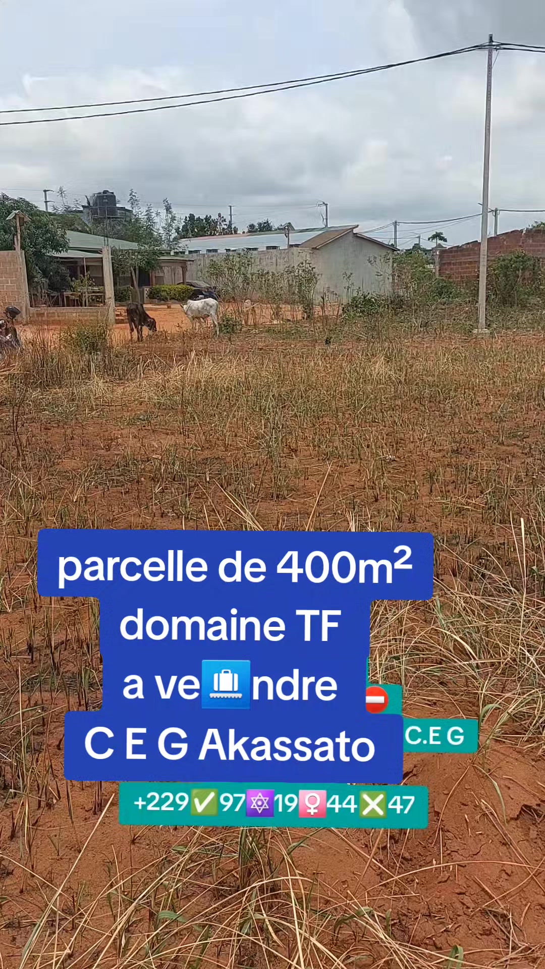 @Ets St Marc Immo