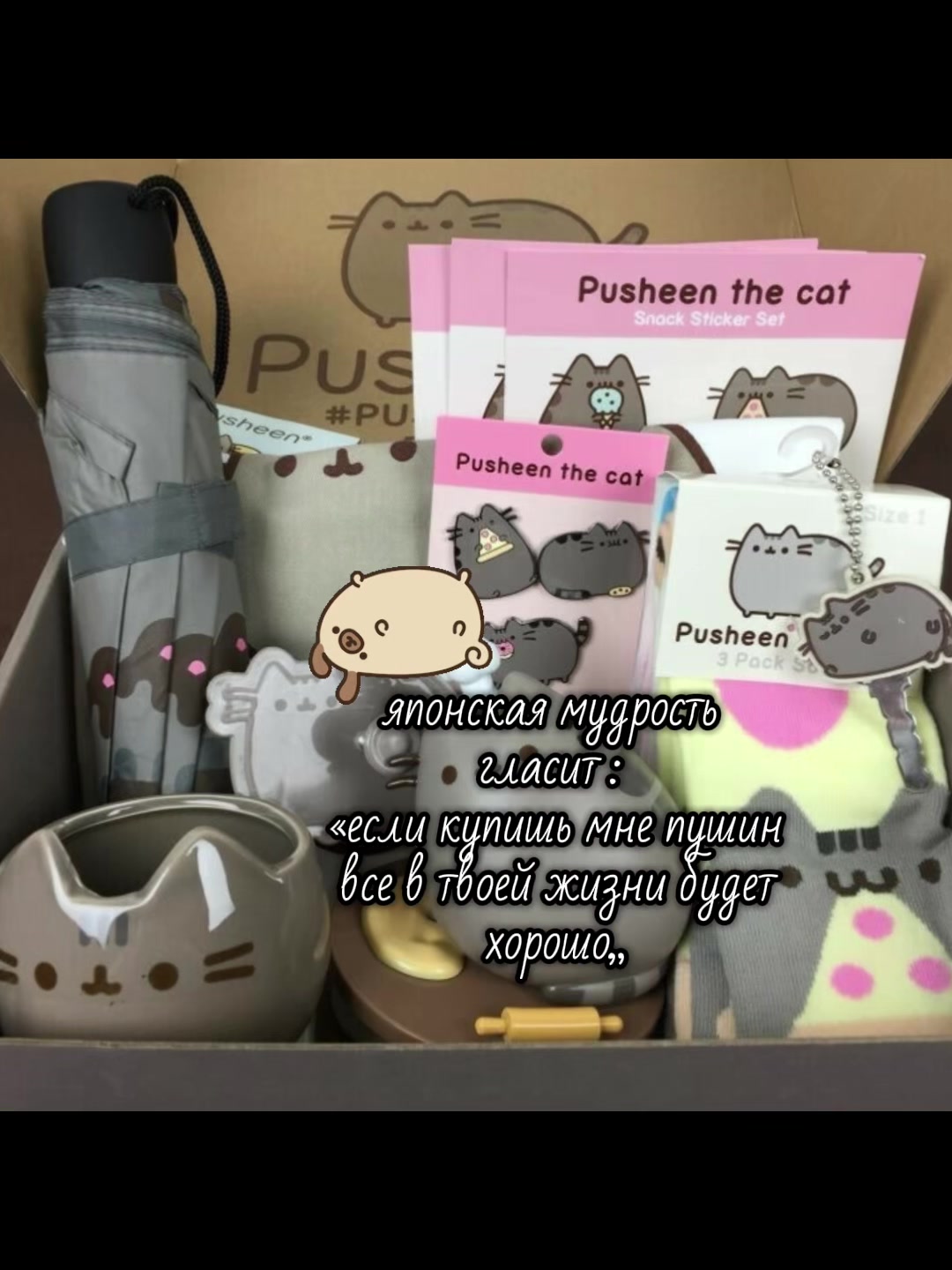 @алая рината 12.11 #CUTEPUSHEEN
