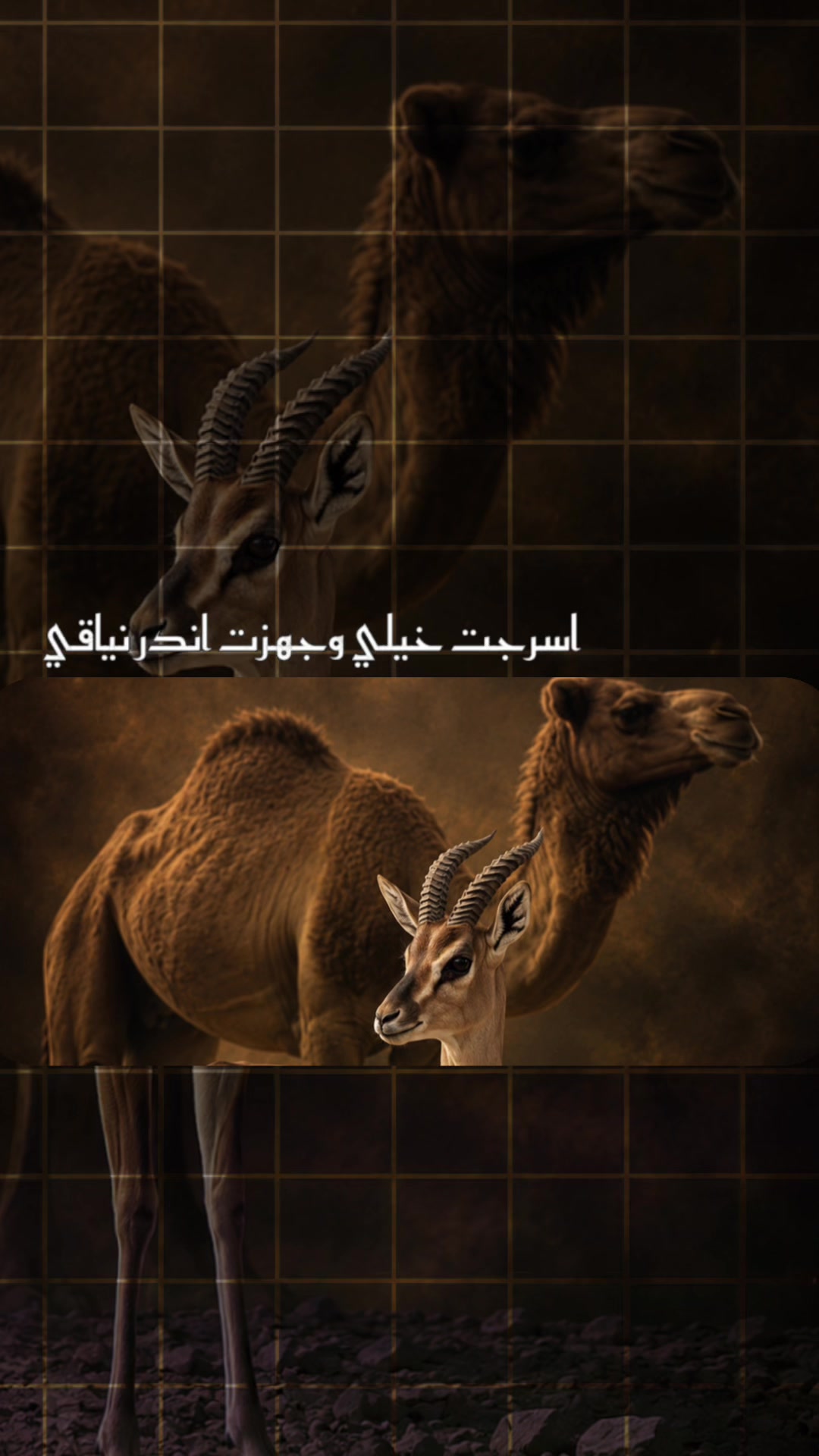 @﮼غزال🦌