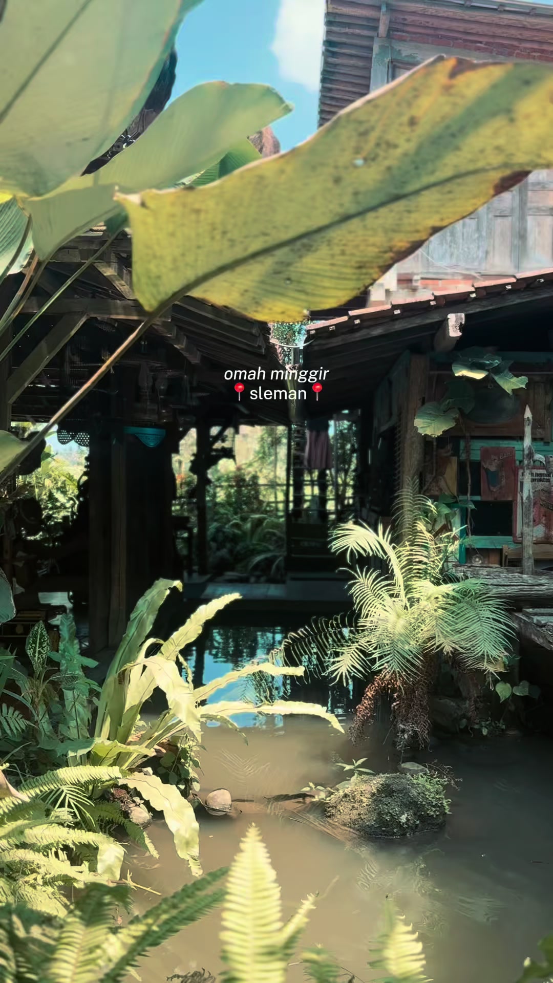 @afrafachrima🧸