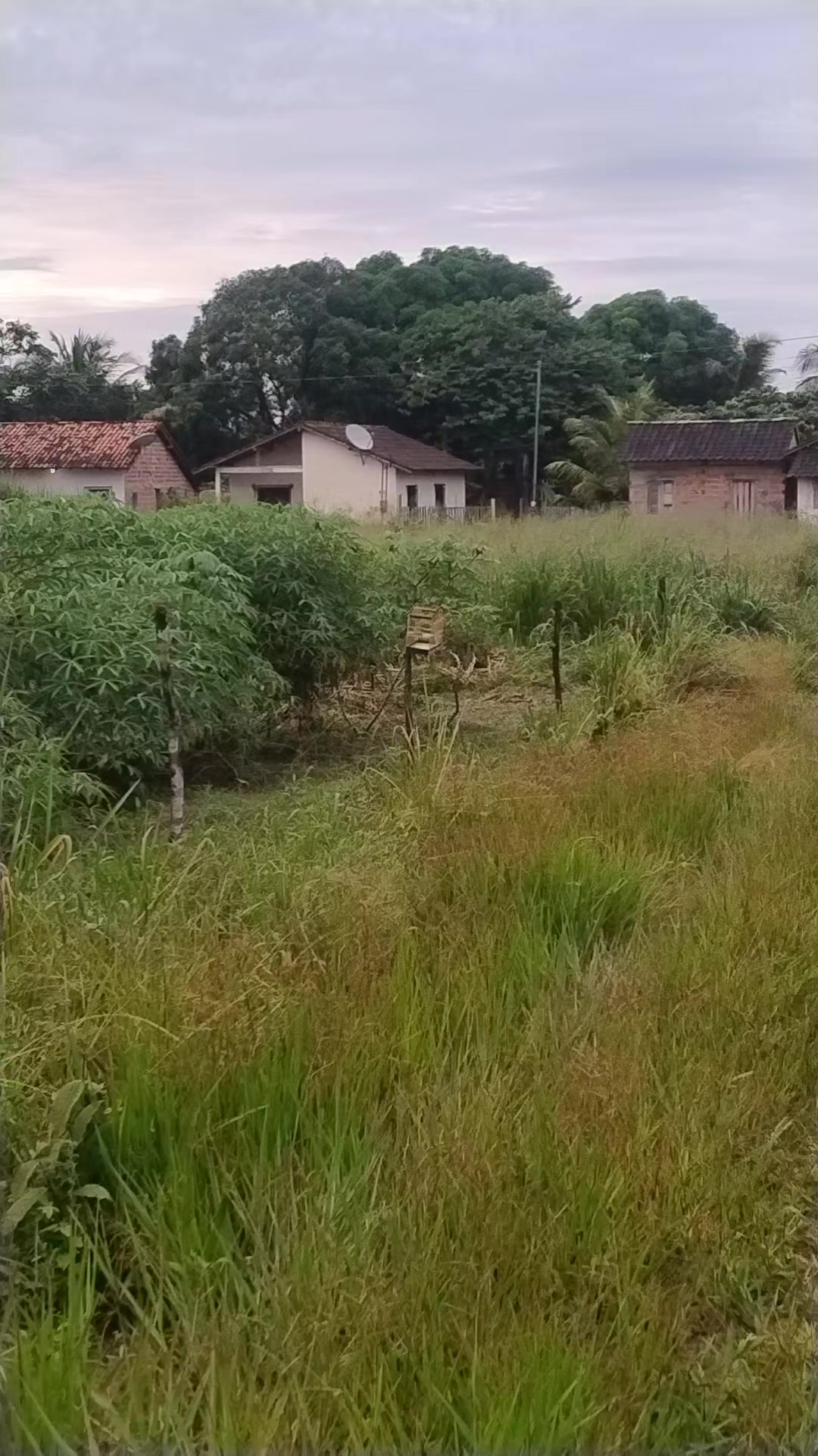 @Vivência de Passarinho