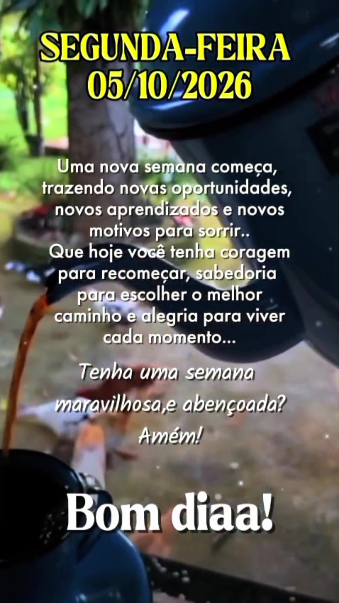 @Bolina de Goiás