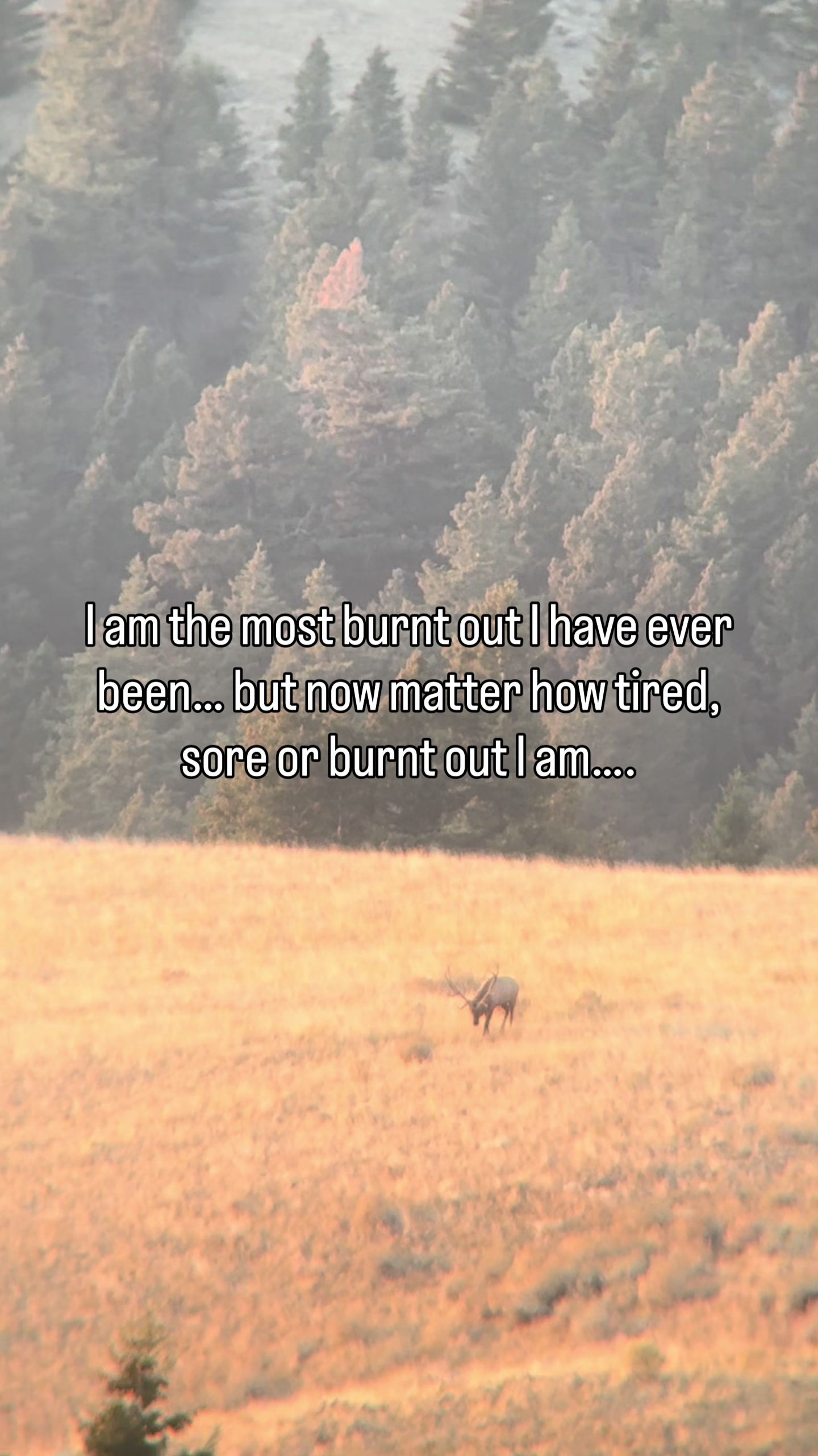 @Montana Tines