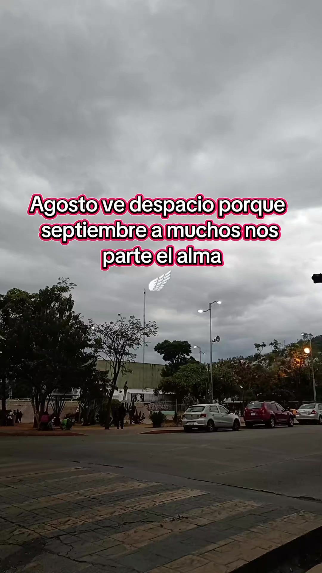 @yulizita🍒