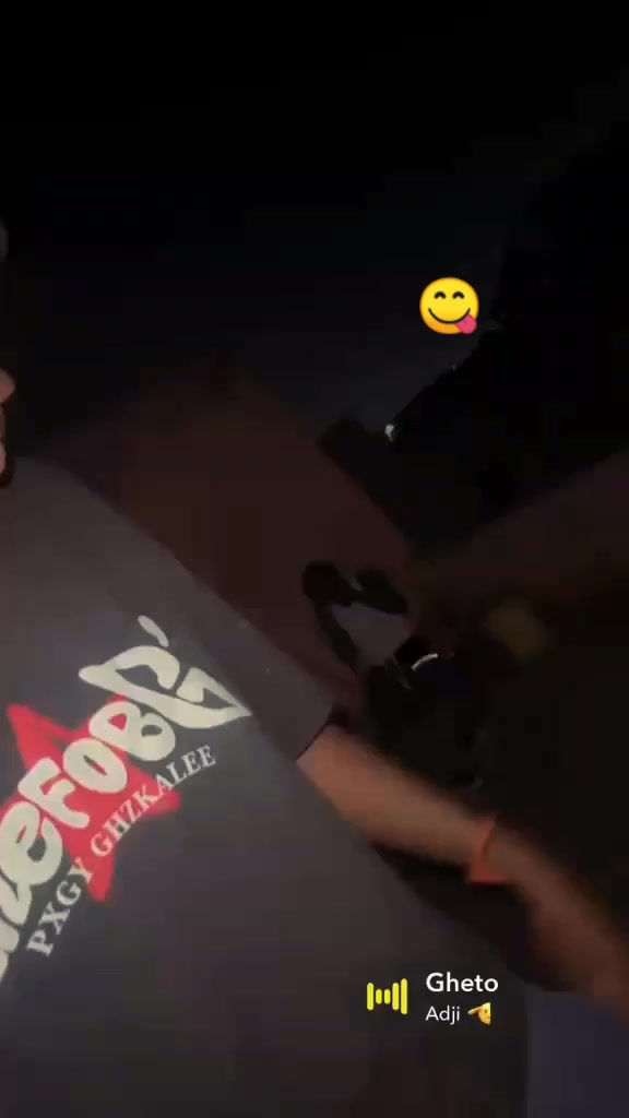 @GTA95 ZOO