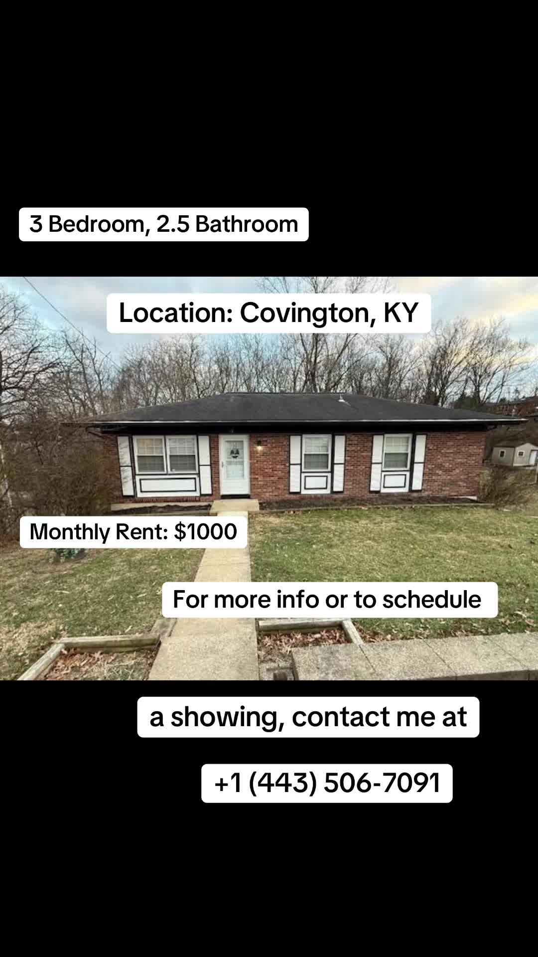 @House Rental Agent