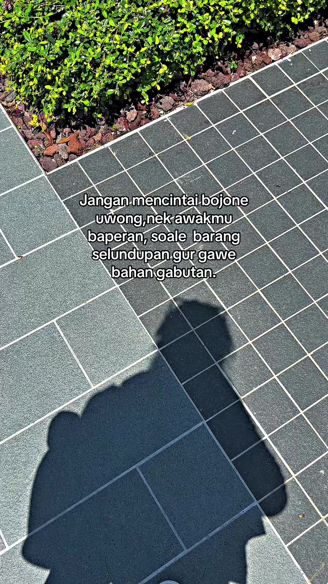 @Remukanbiskuit🫠