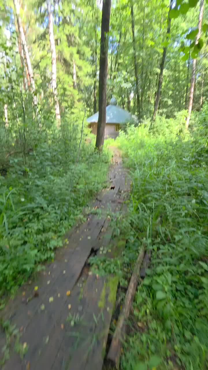 @gribkovkonstantin771Катя