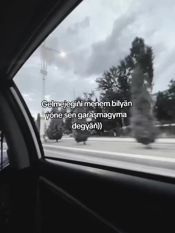 @Bayramovaa
