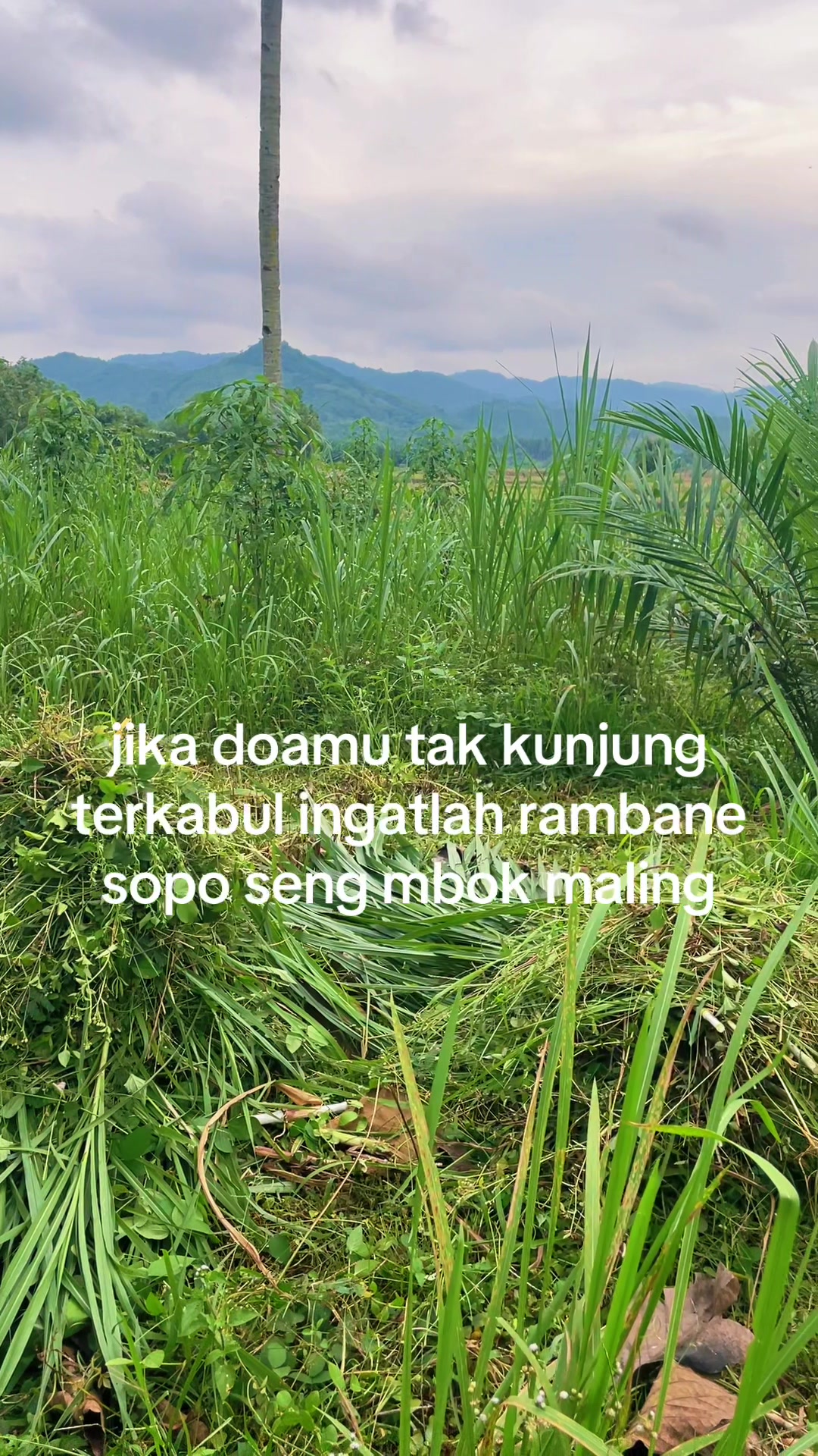 @RLANGGA