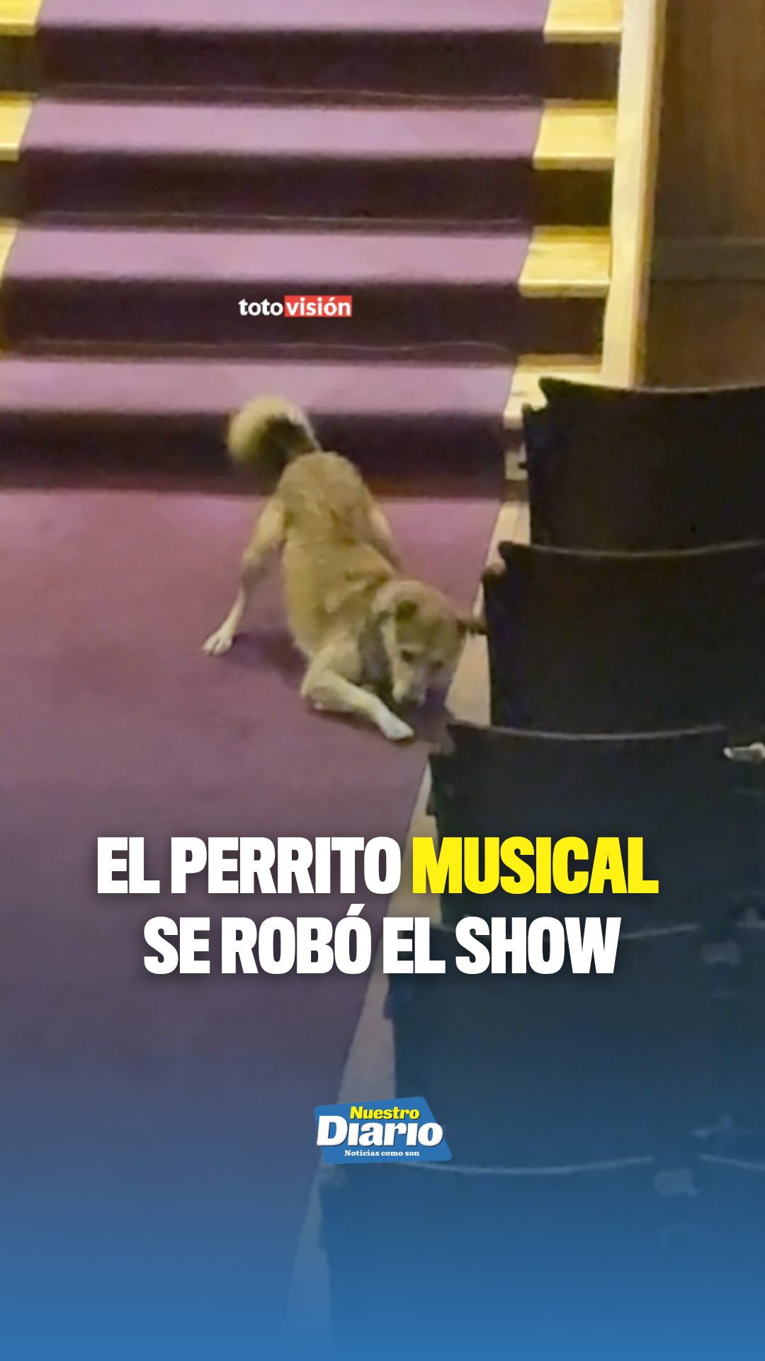@Tiktok oficial Nuestro Diario