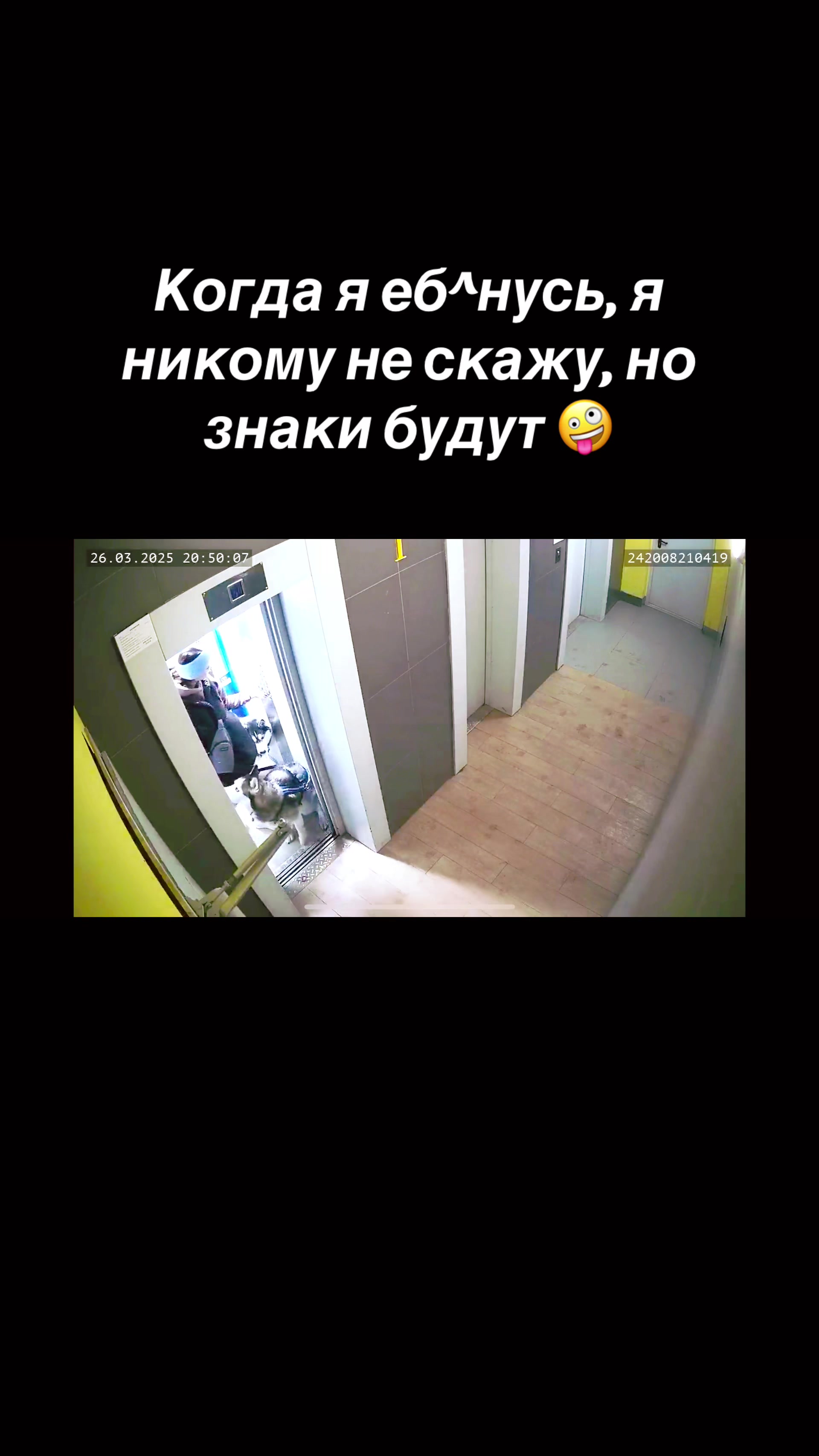 @белая сова