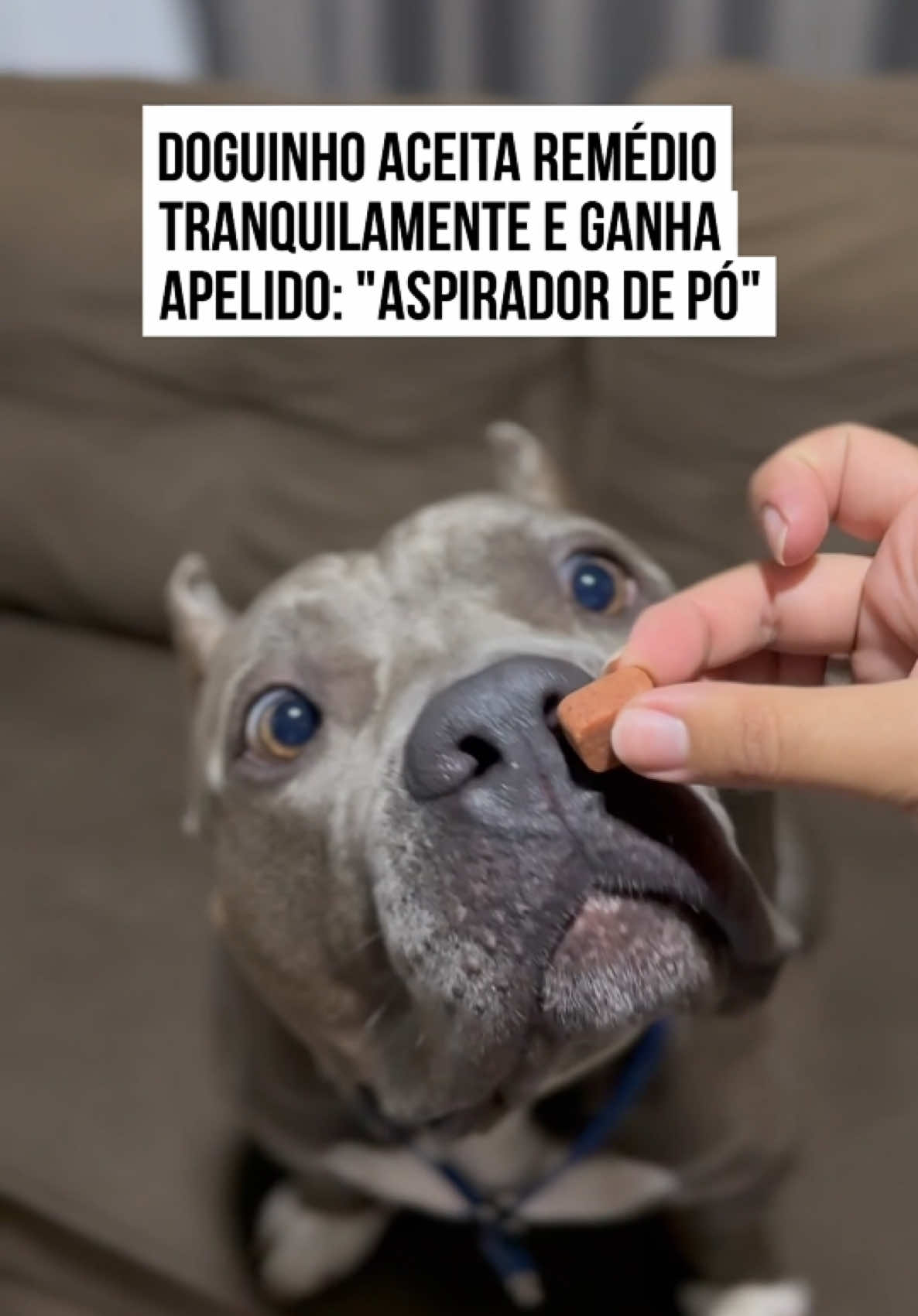 @Metr&oacute;poles Oficial