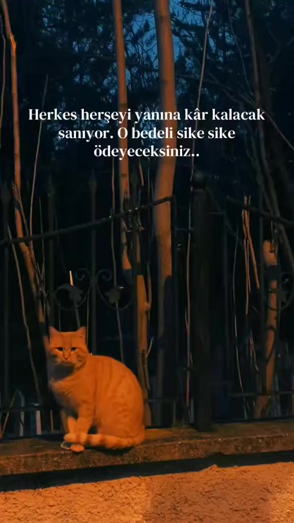 @🧿🧿🧿BENGELDİM0001🧿🧿🧿