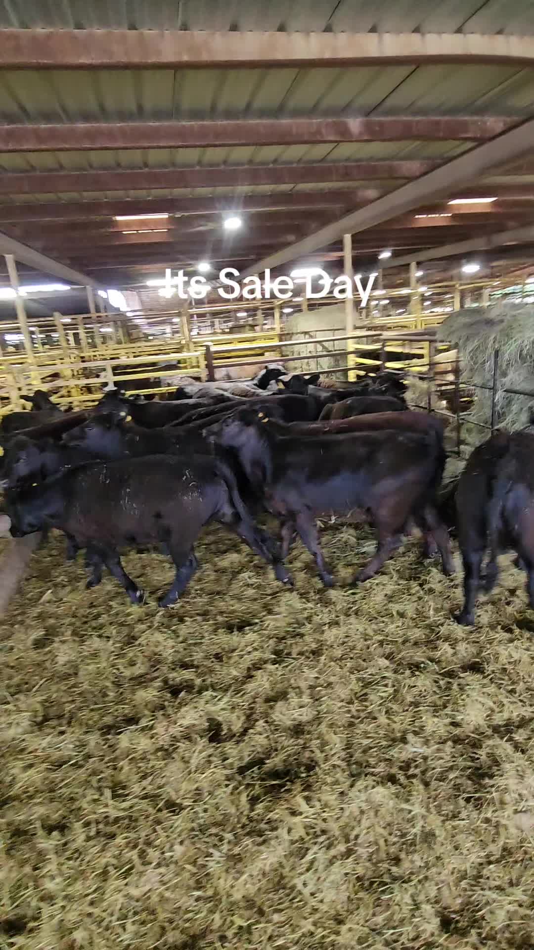 @77Ranch