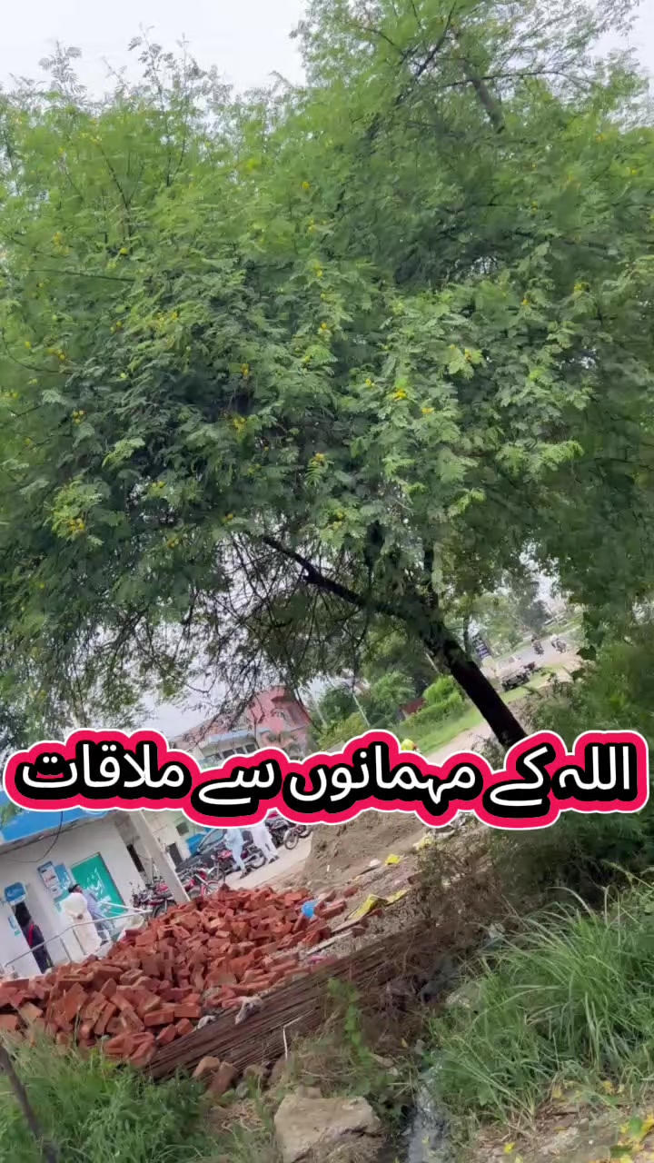 @Shahzad Raja