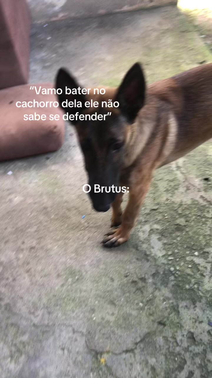 @Pᥱ́r᥆ᥣᥲ ᥱ ᥴᥲριtᥲ̃᥆
