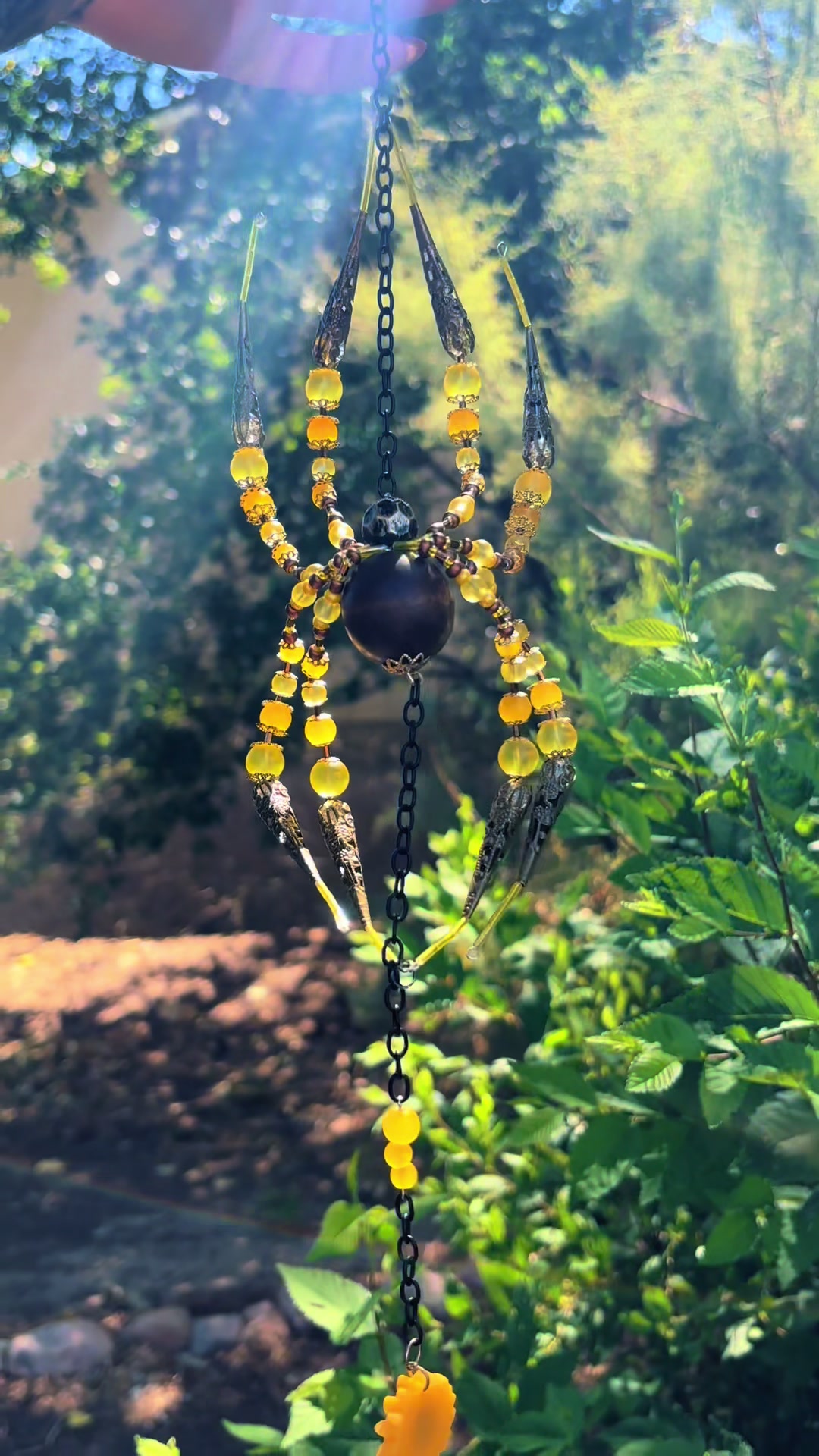 @spider_domain