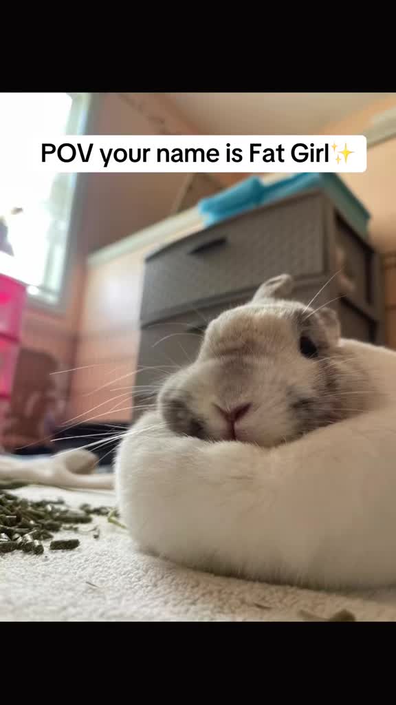 @snackqueenandsir