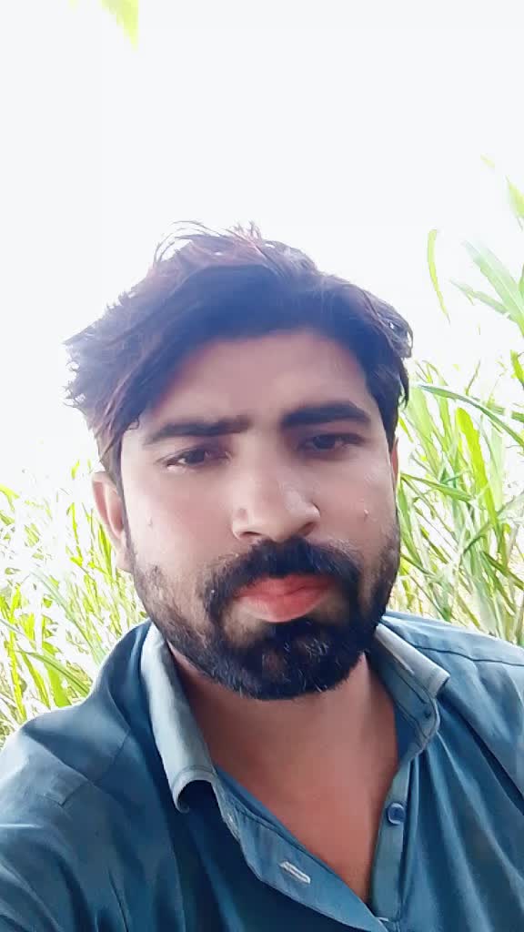 @abbasi