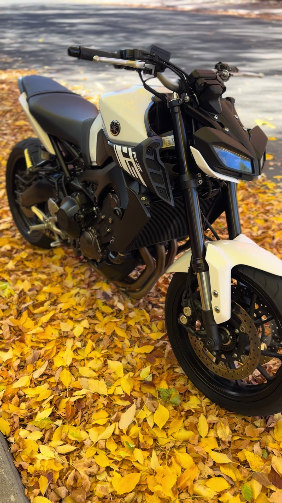 @BIKELIFE Demon👹