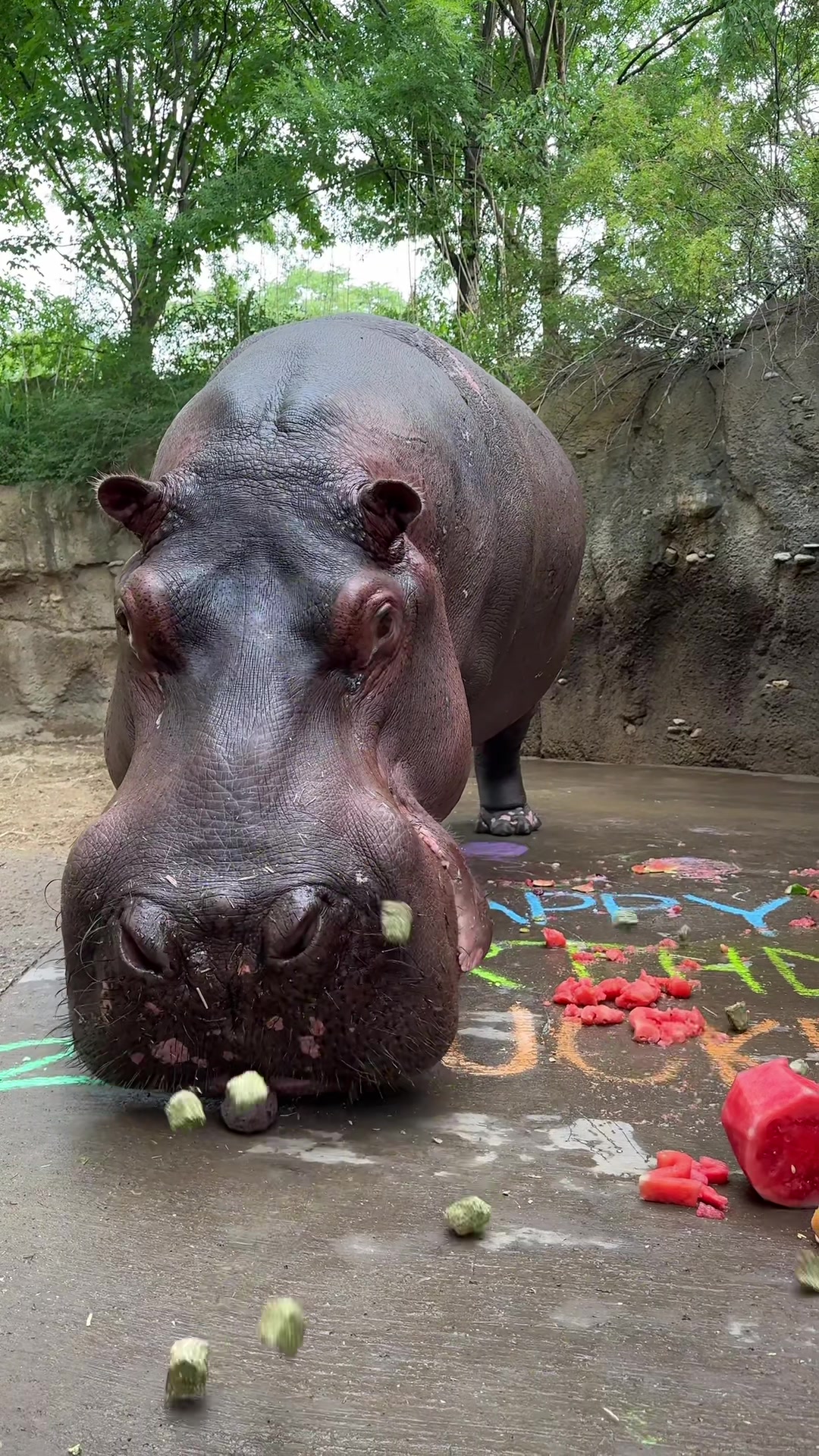 @Cincinnati Zoo
