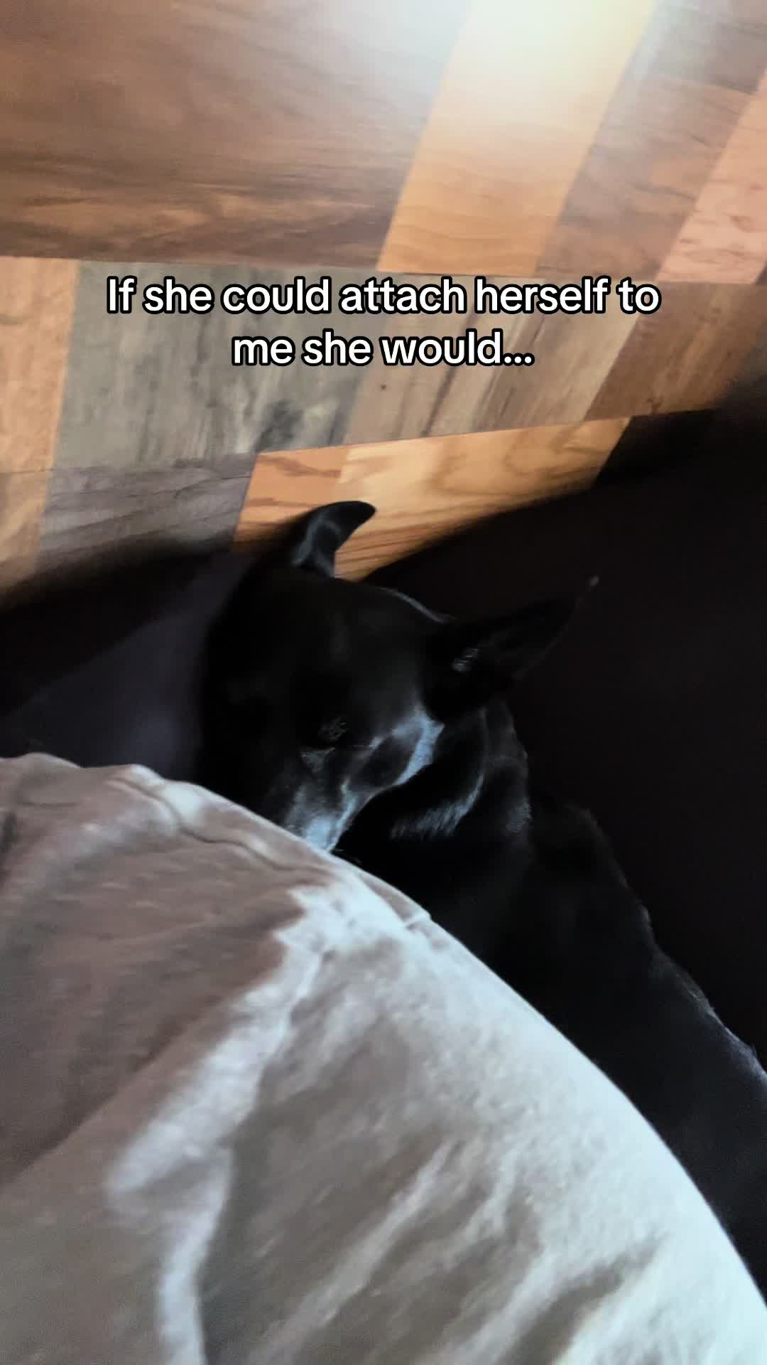 @Candice + Willow ♥️🐾