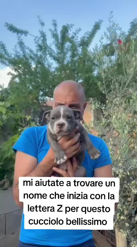 @Alfio Arcifa Magistrale