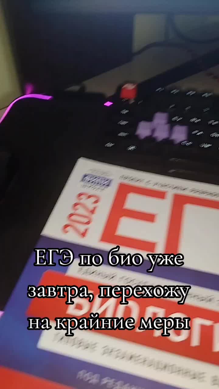 @egor_solo