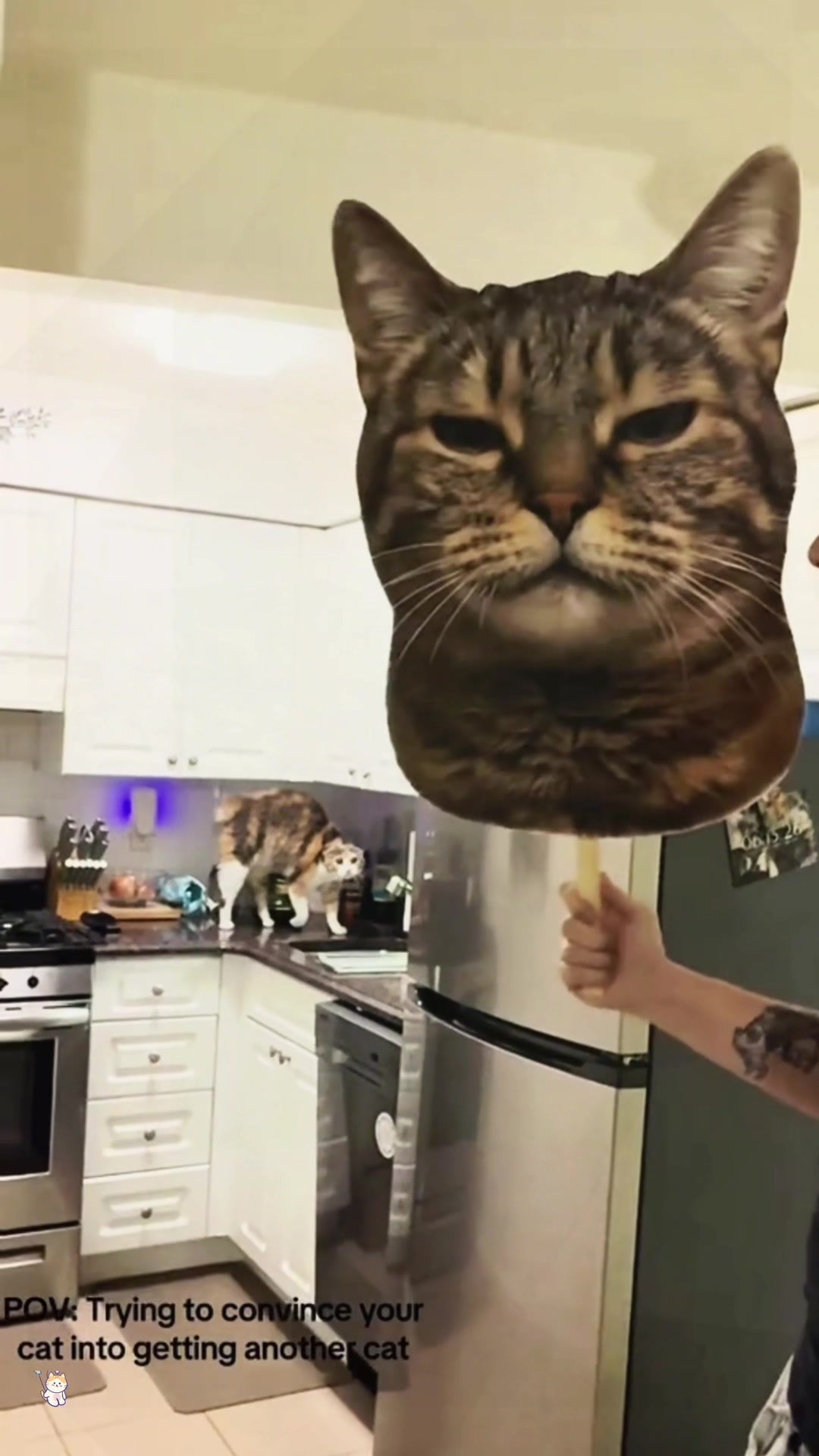 @SneakyFails