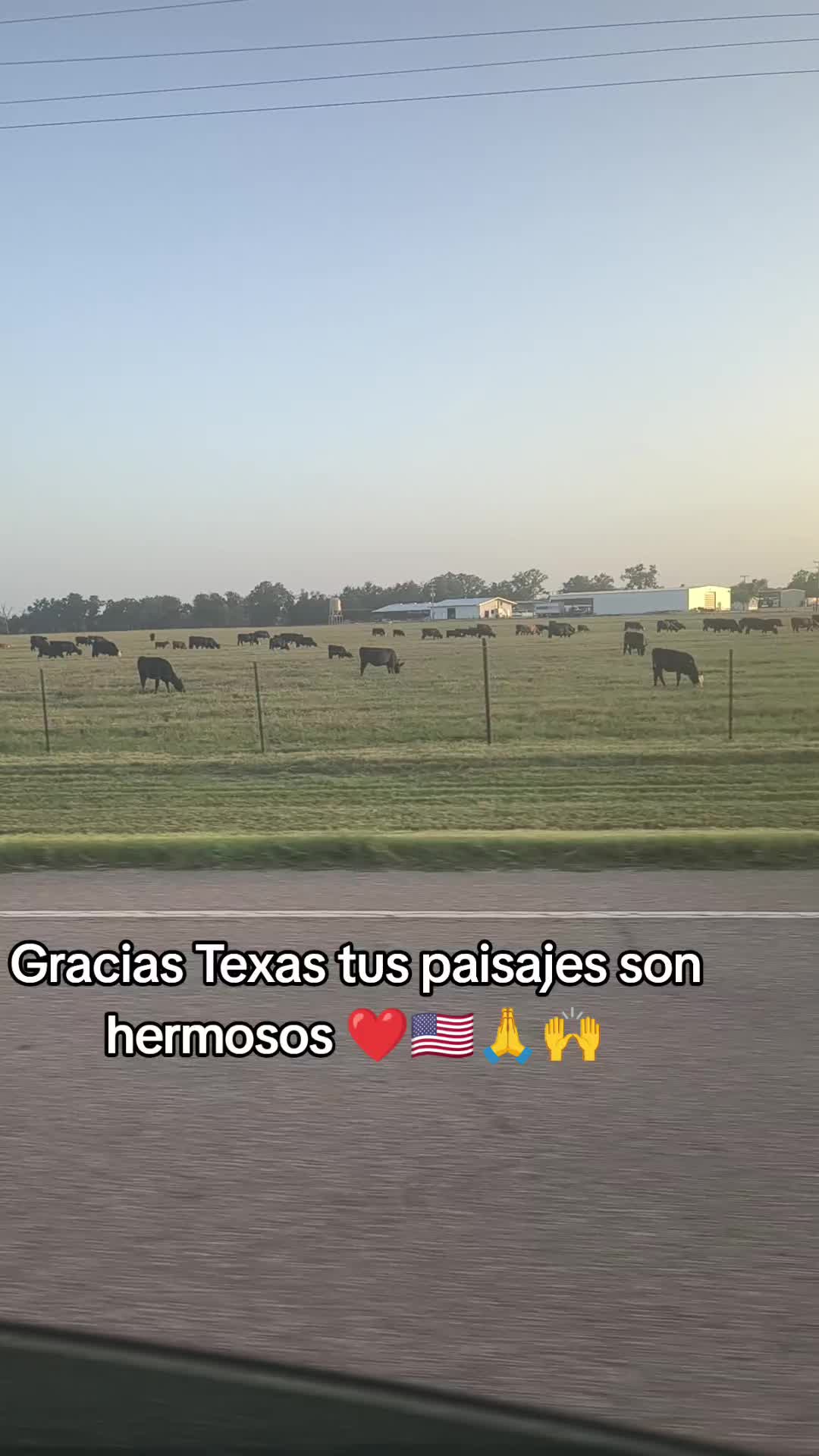 @Antonia Acosta