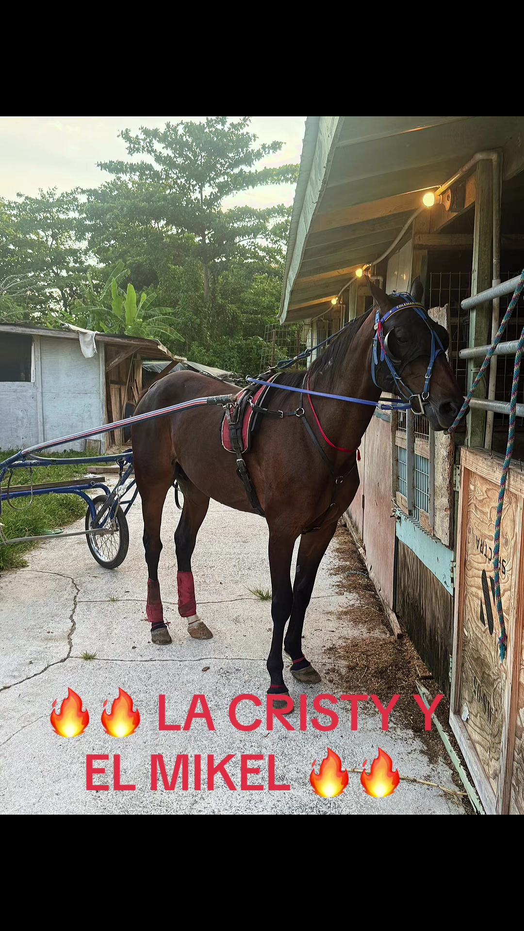 @🔥🔥❤️EL FEO ❤️🔥🔥