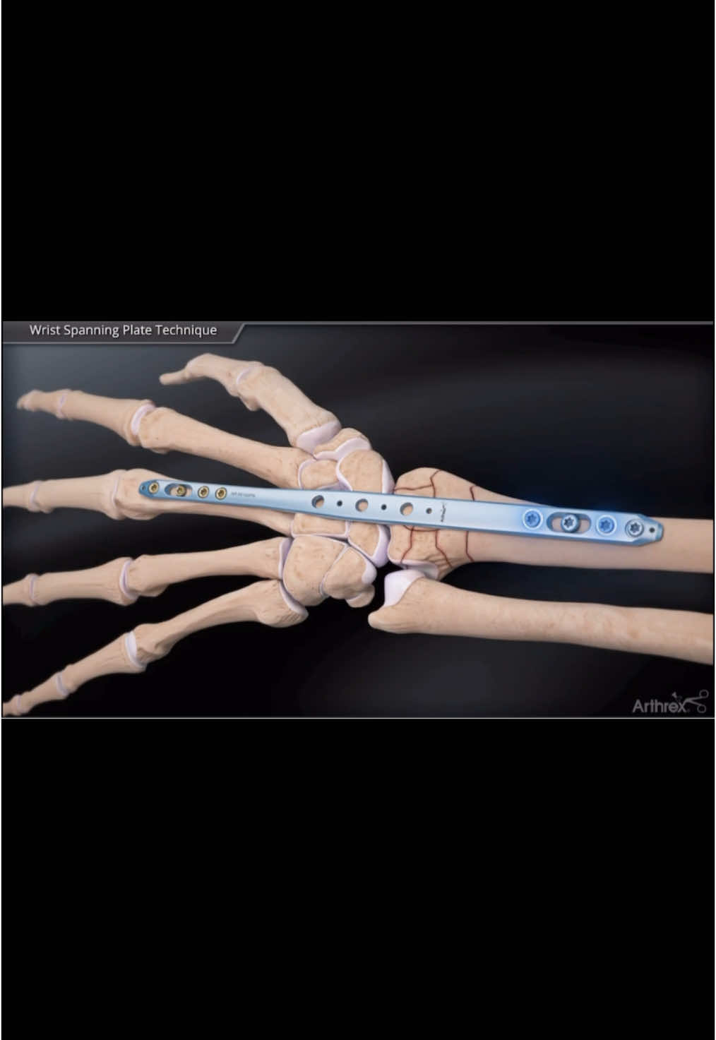 @Anatomias