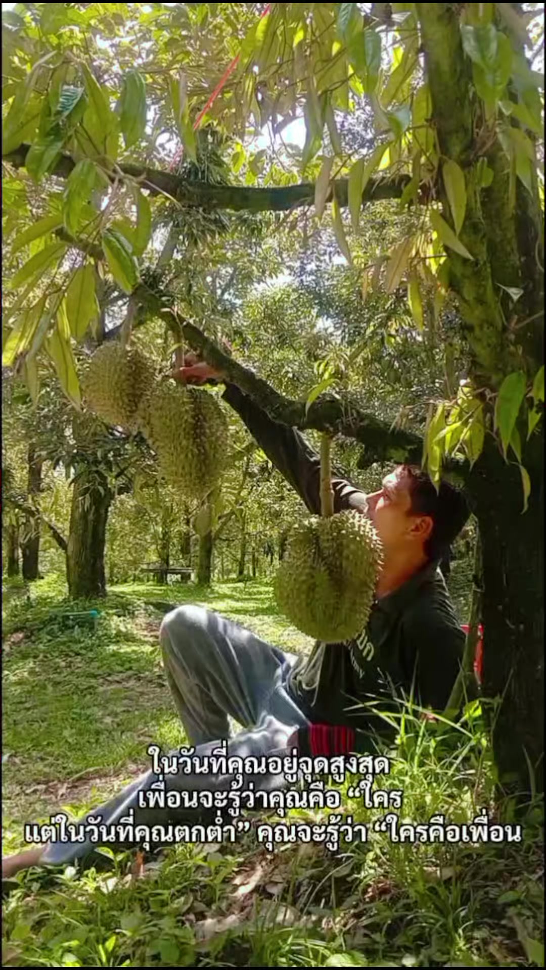 @พ่อเจมส์ เมฆมาร์ค